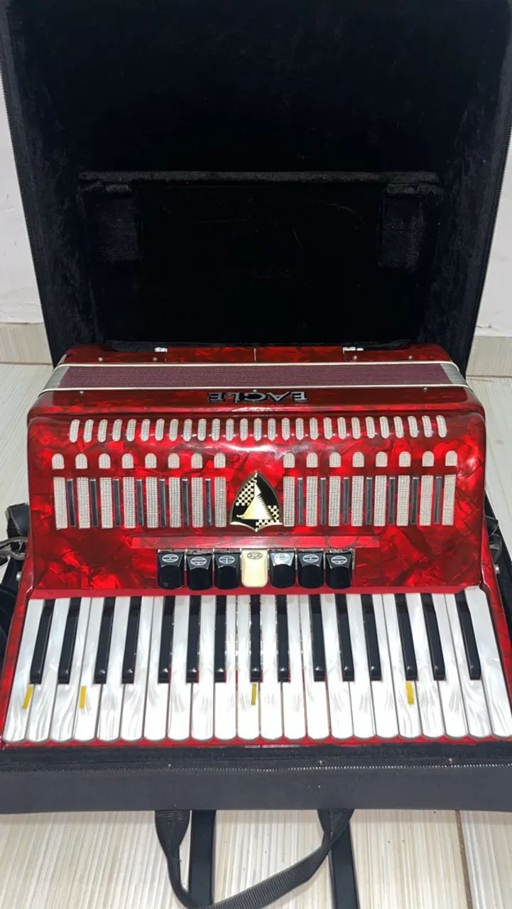 Sonfona arcodeon  - Foto 2