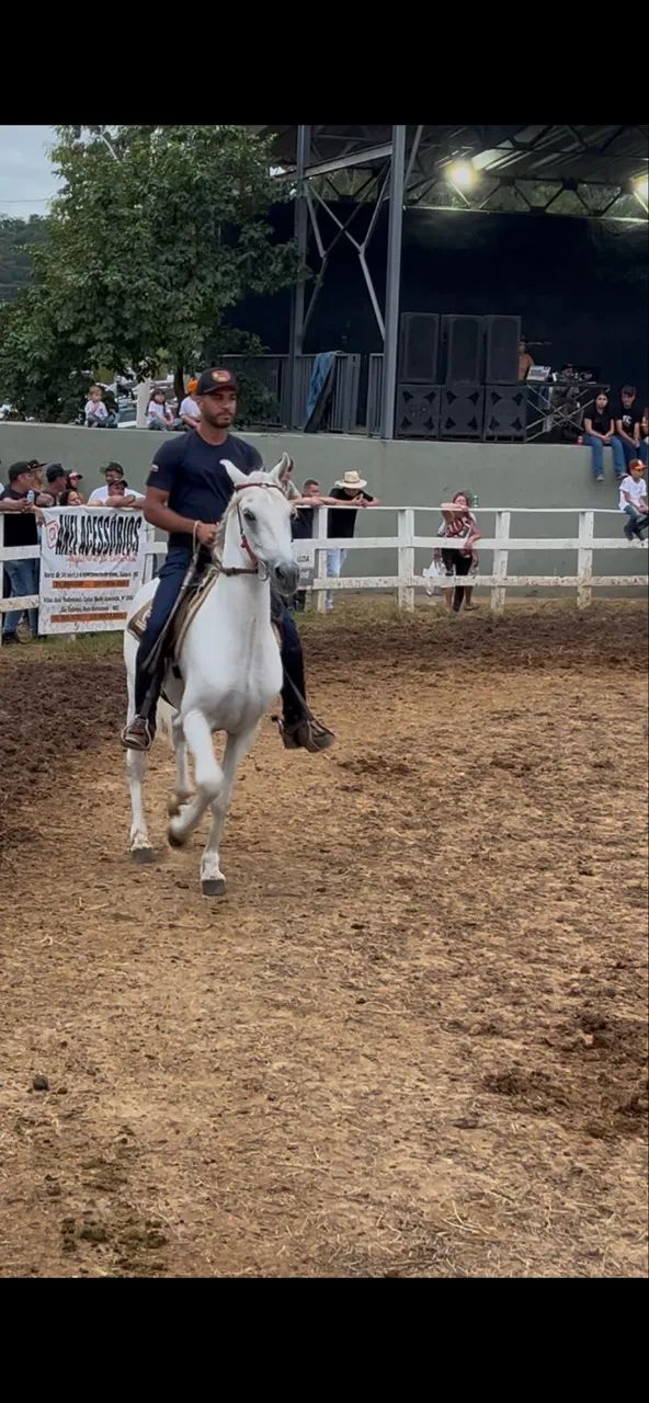 Cavalo Garanhão Manga Larga 