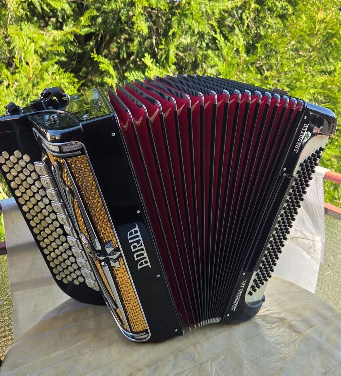 Acordeon Adria cromática C e Grif 