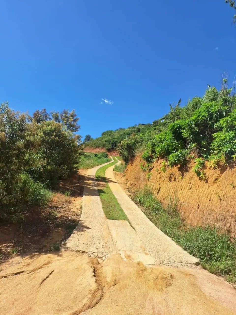 Terreno  - Foto 4
