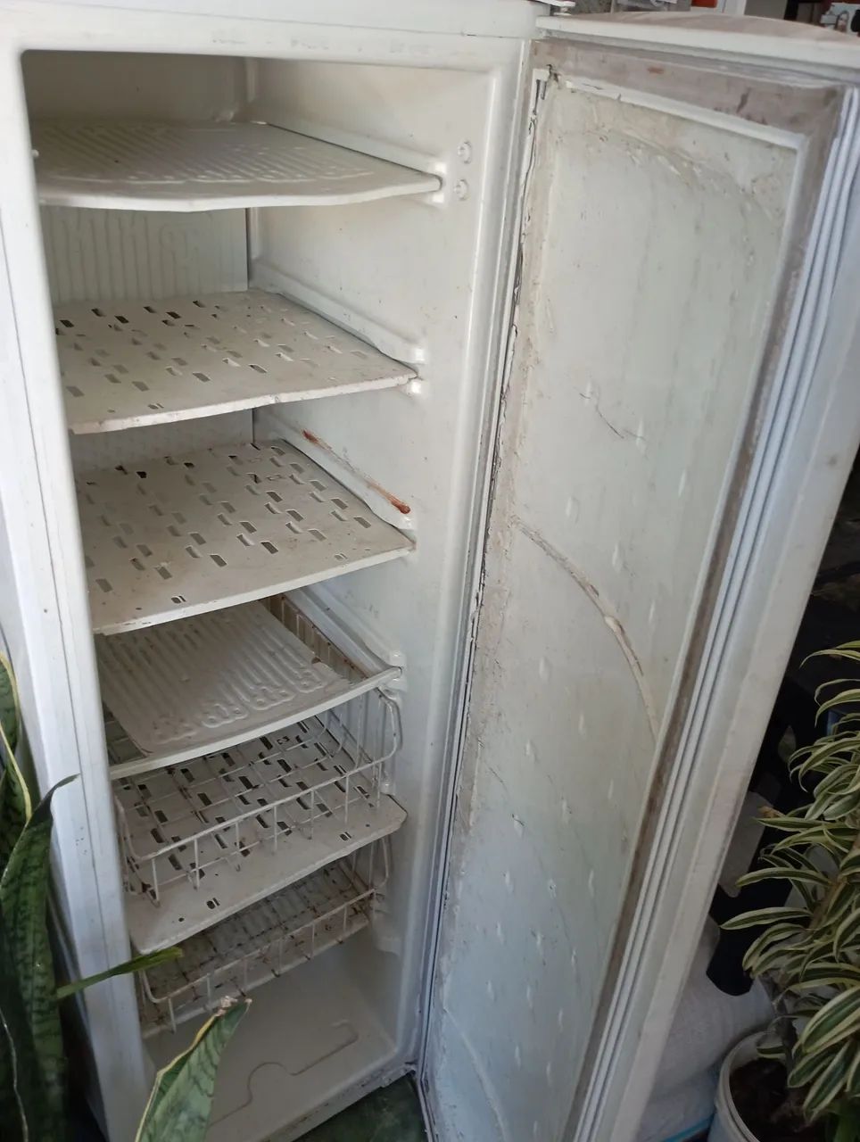 FREEZER  - Foto 3
