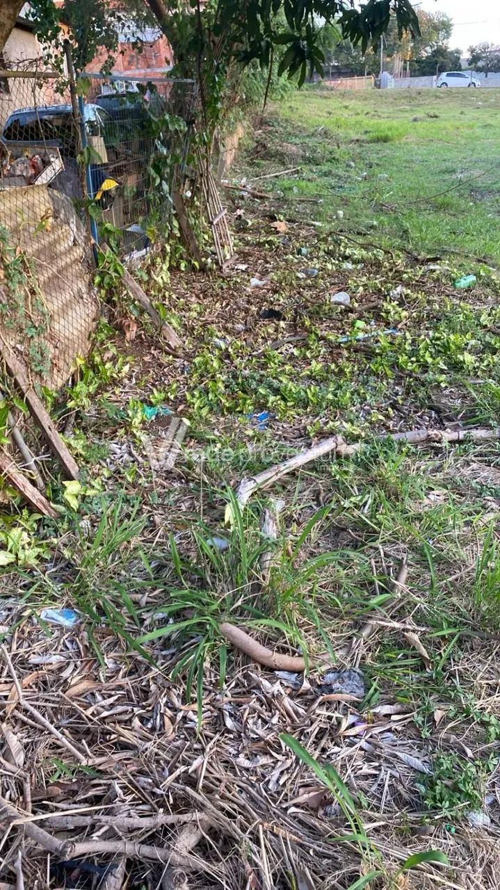 terreno - Barão Geraldo - Campinas - Foto 4