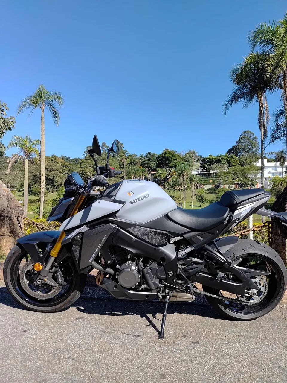 Suzuki gsx-s 1000