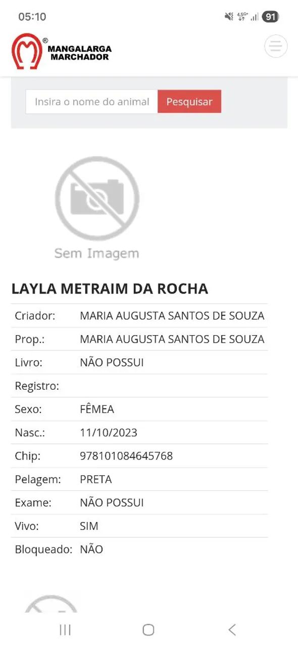 Egua preta Registrada - Foto 3