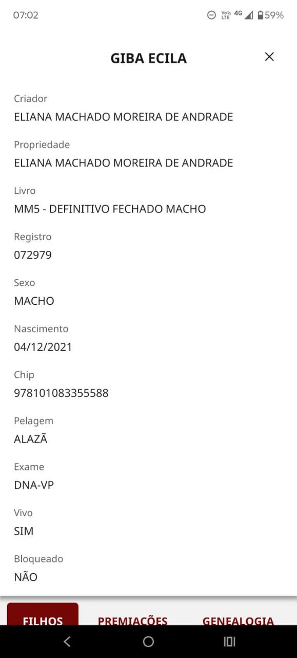 Cavalo Manga Larga Marchador - Foto 5