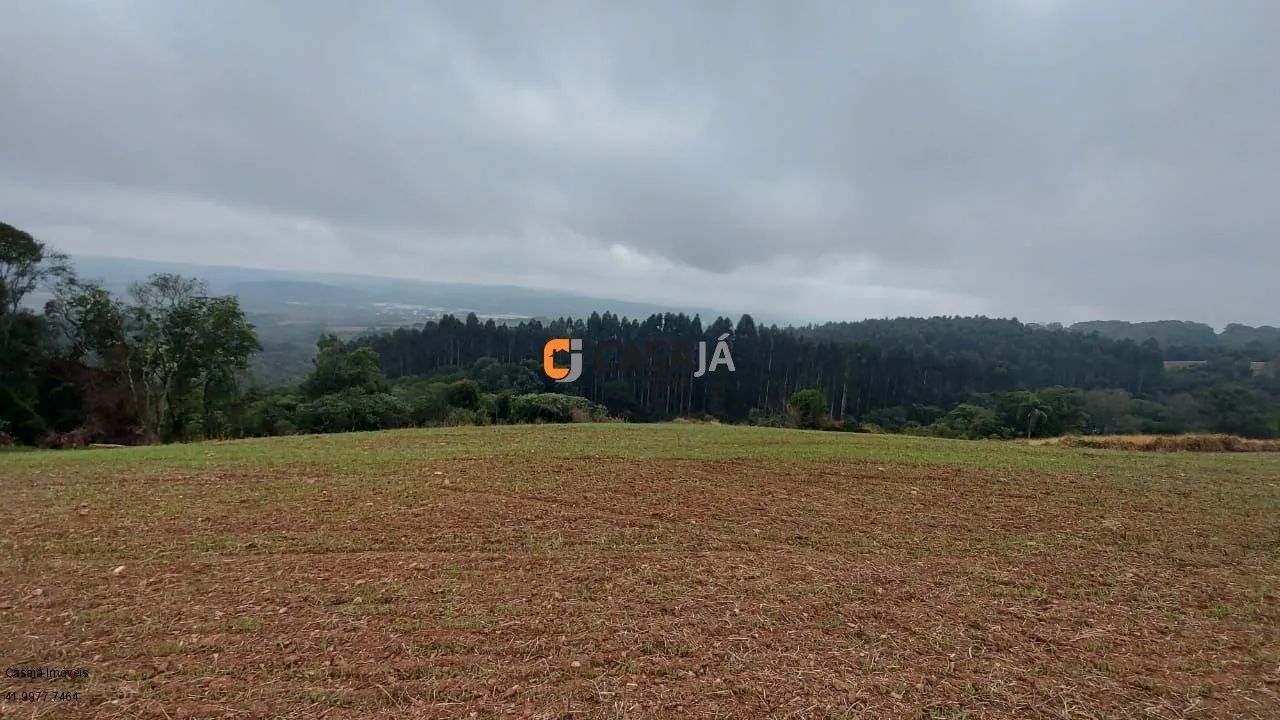 CHACARA RURAL em LAPA - PR, Itabaúna - Foto 2