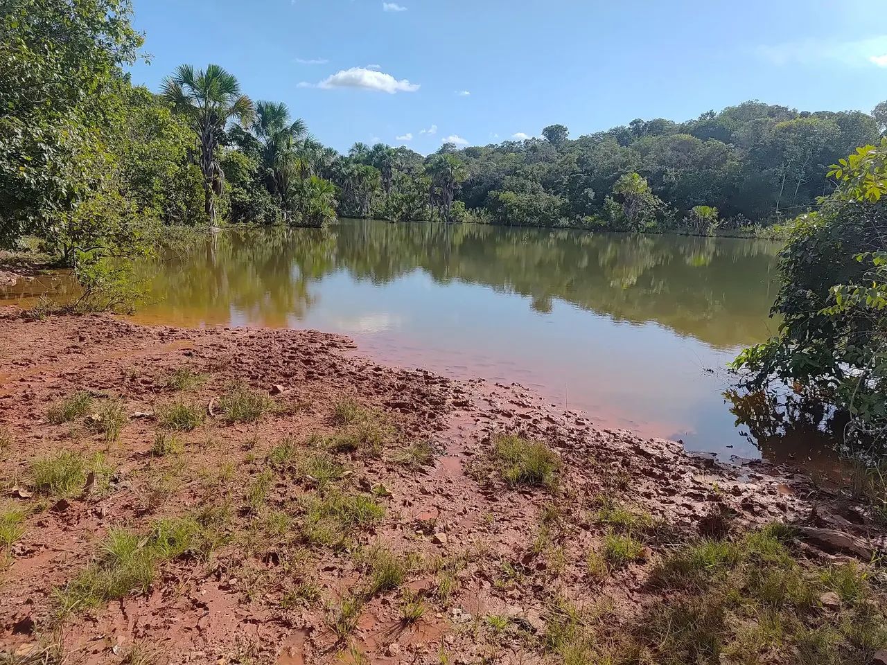 Fazenda á venda Próximo a Gurupi  - Foto 4
