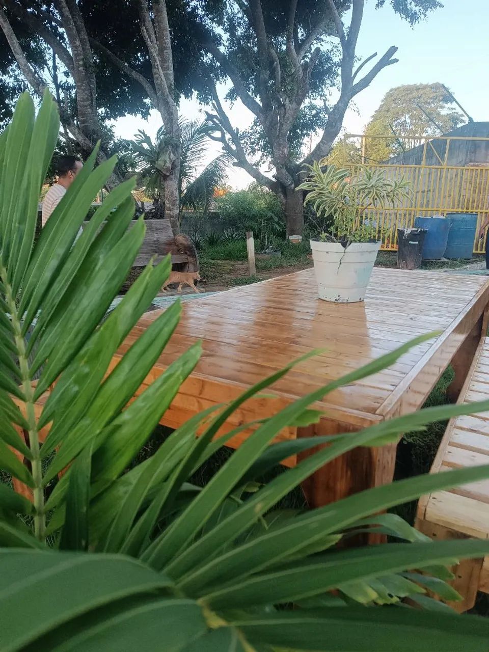 Mesa e bancos de madeira  - Foto 5