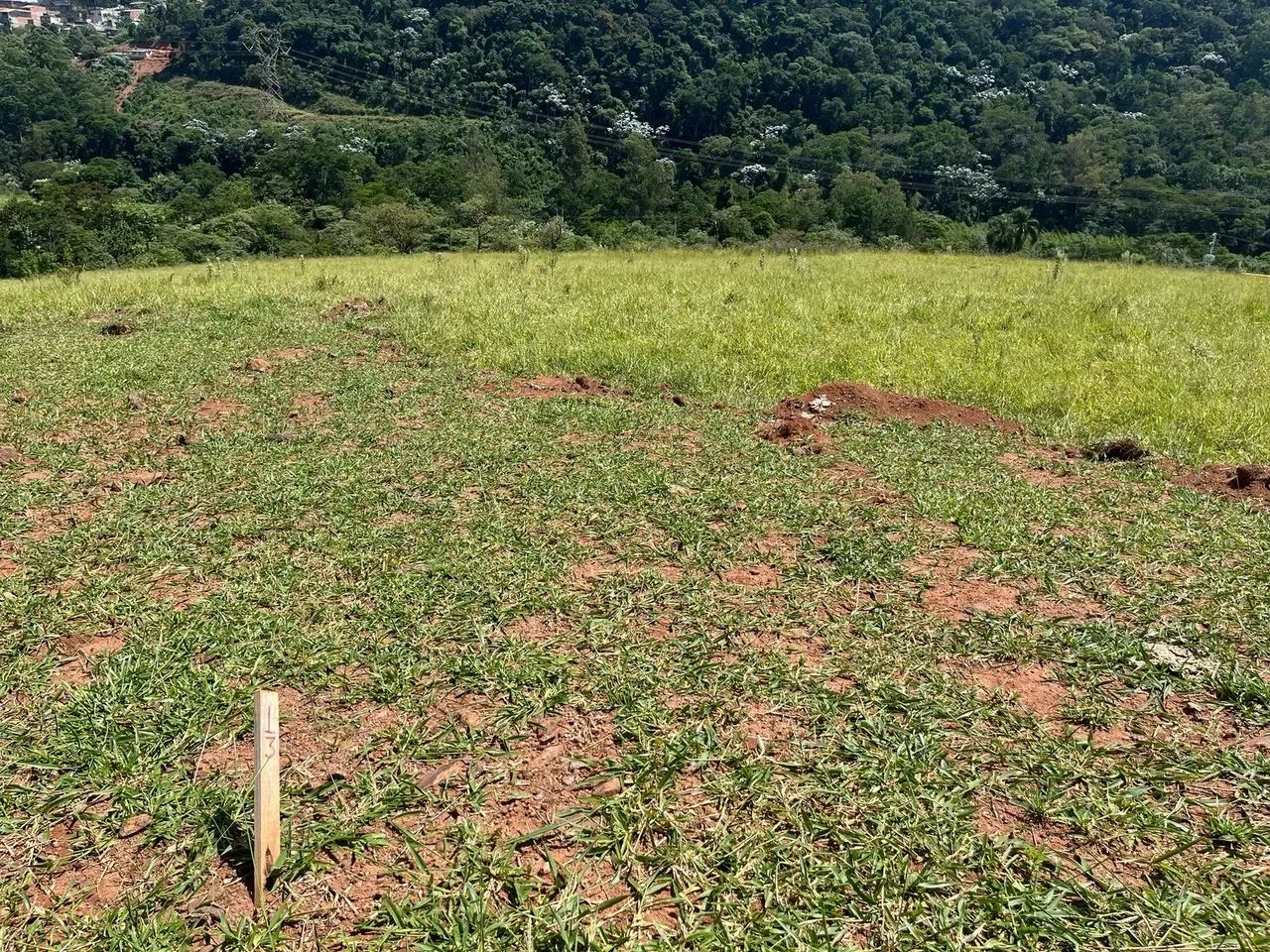 Terreno de 500m - Entrada de R$ 30 Mil - Foto 4