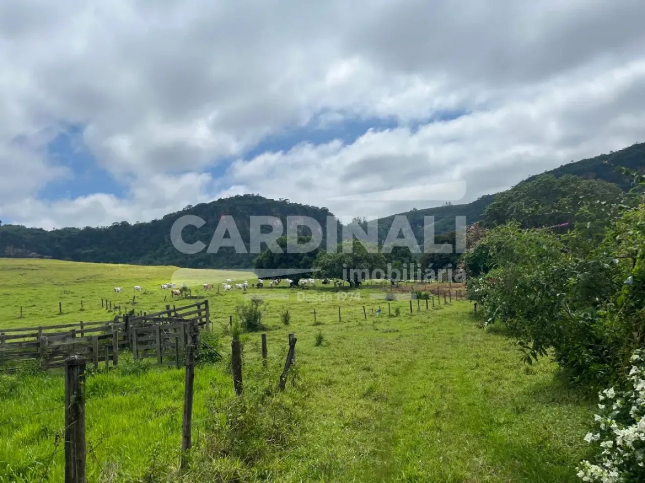 Fazenda em Analandia 11KM do Posto Grall Rubi - Foto 3
