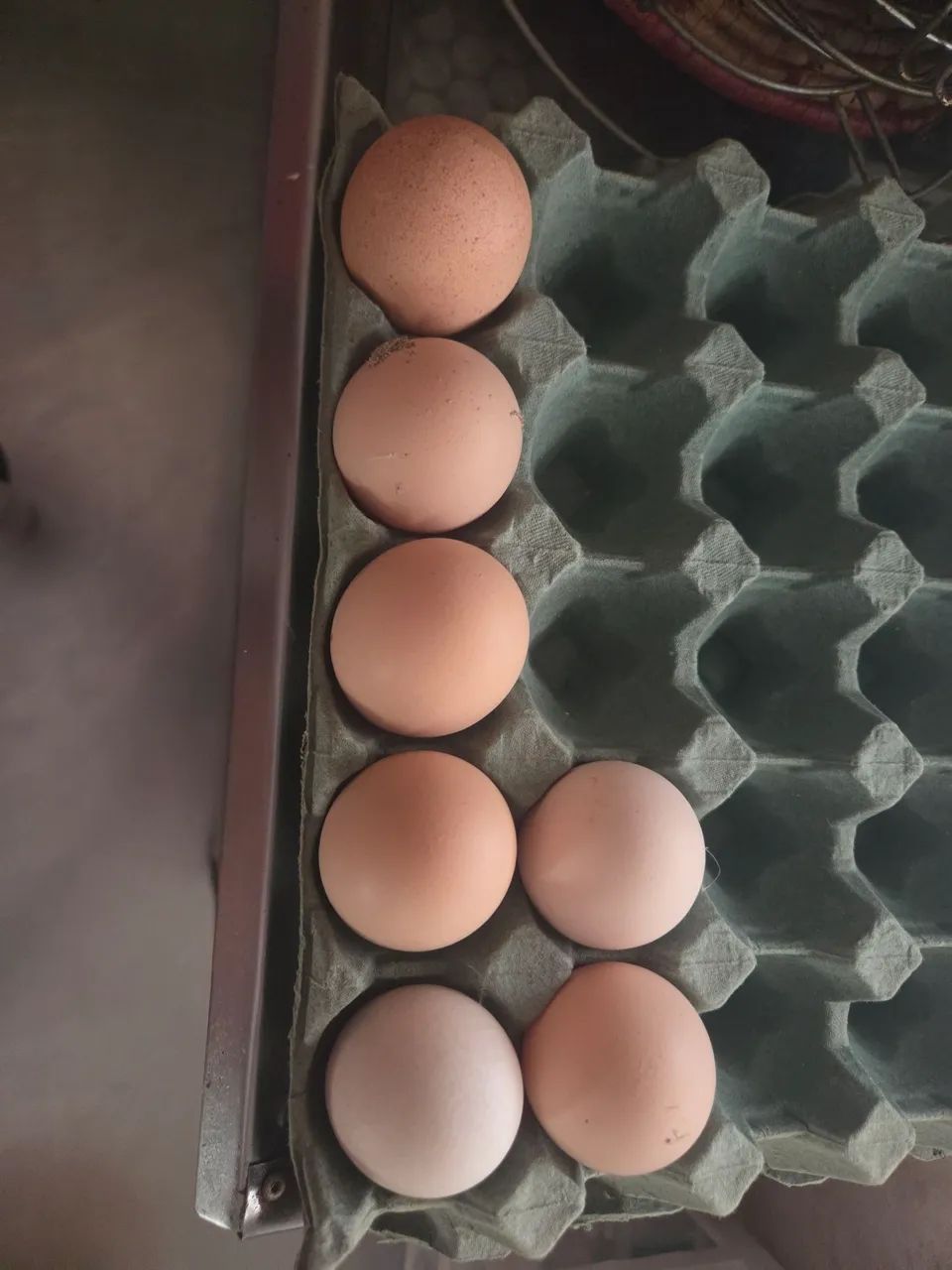 Ovos Galado de GSB