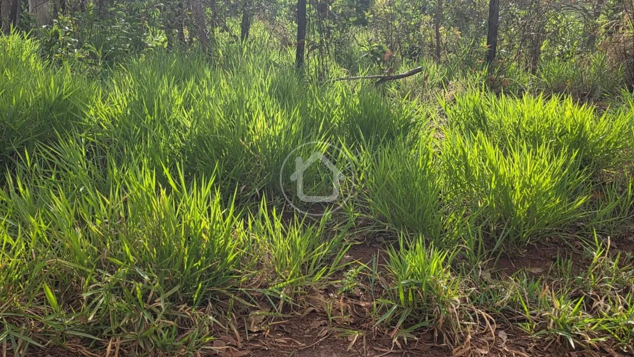TERRENO - SEM ASFALTO - VIVENDAS DO PARQUE - Foto 2