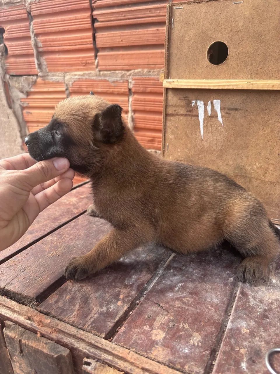 Vende se - Foto 2
