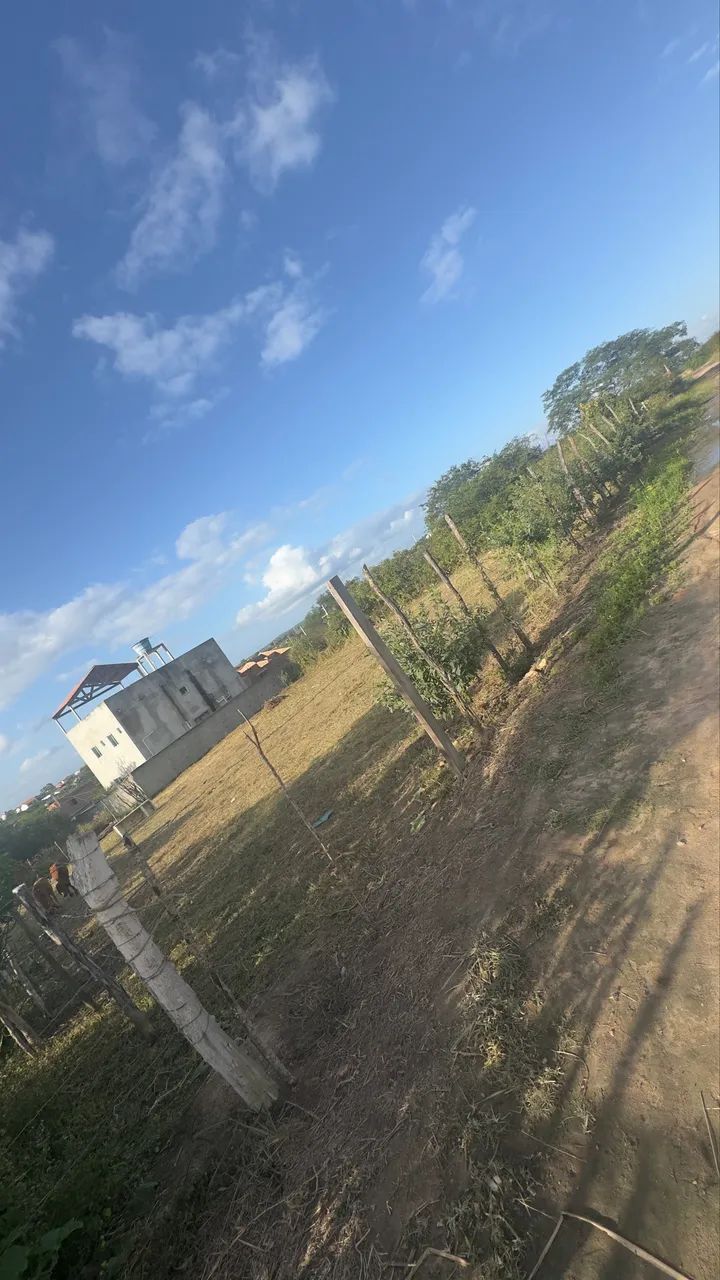 Terreno 15x30 450M2 - Foto 3