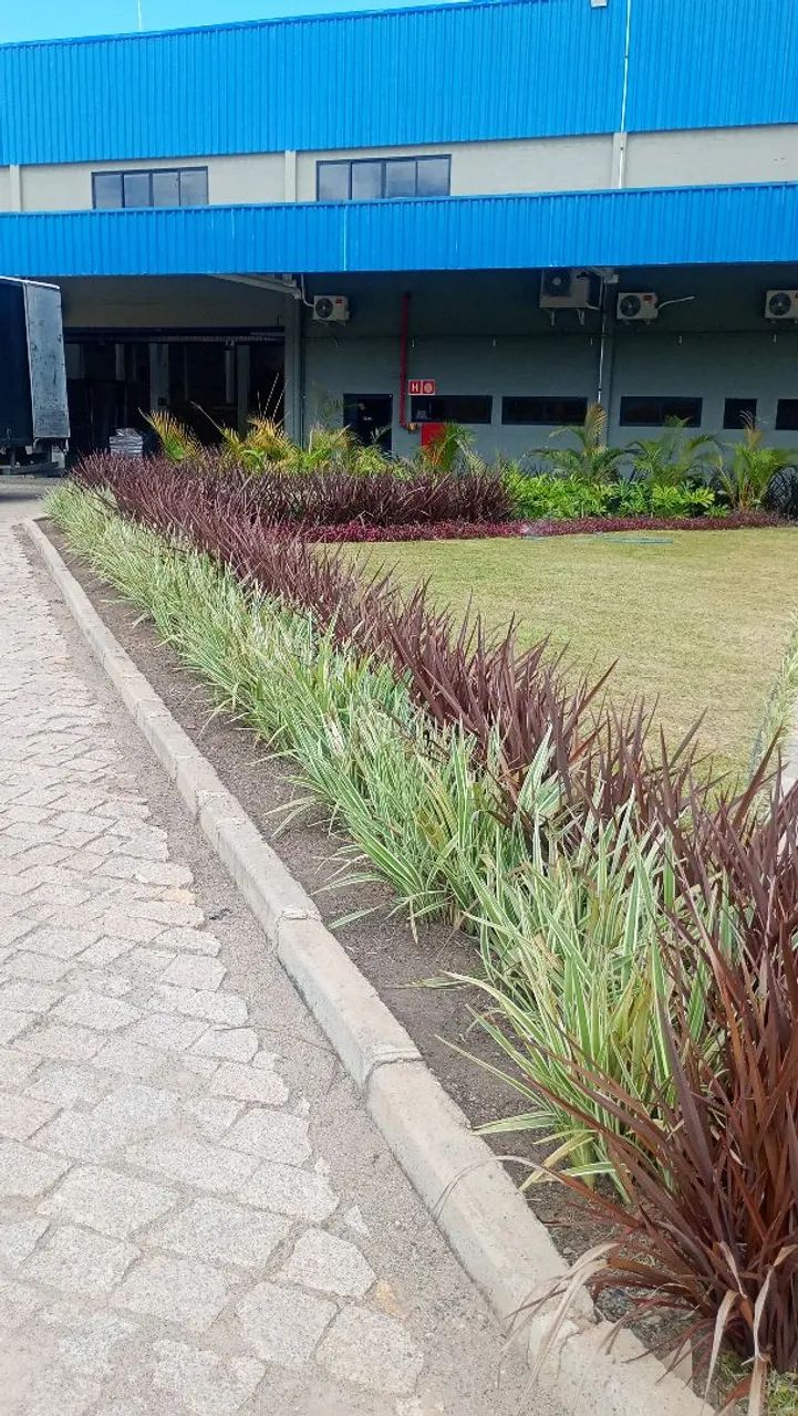 Jardinagem e paisagismo  - Foto 5