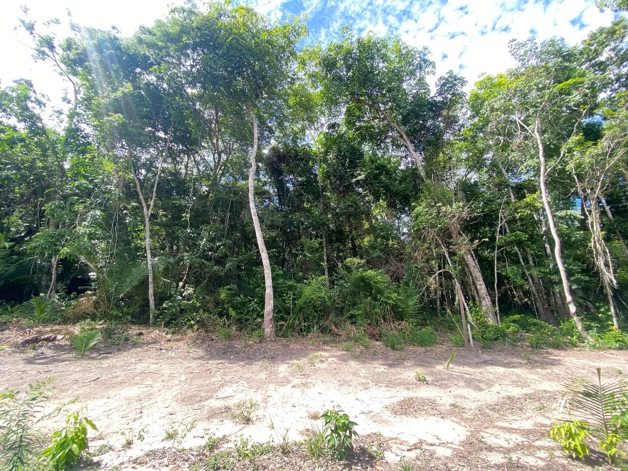 Foto - Santarém - Diamantino