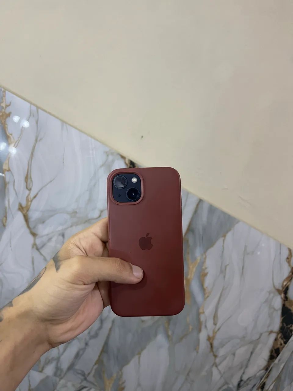 iPhone 13 ( aceito oferta )