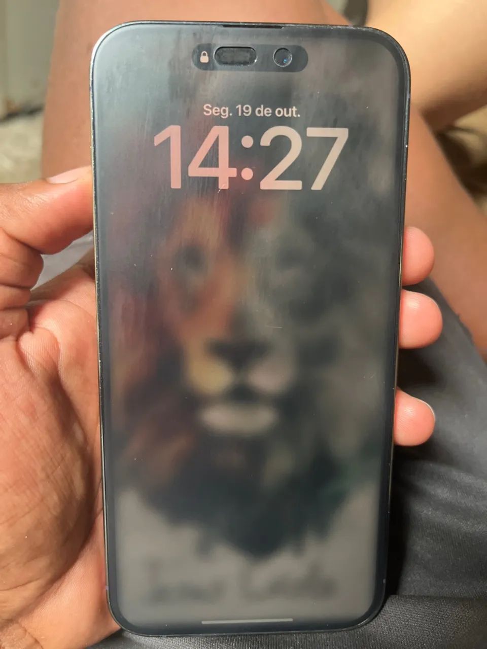 iPhone 14 Pro Max procedência 