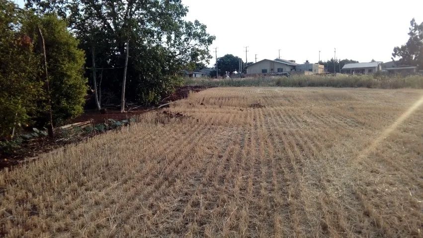Terreno, Sitio dentro da cidade - 35 mil m² - Foto 5