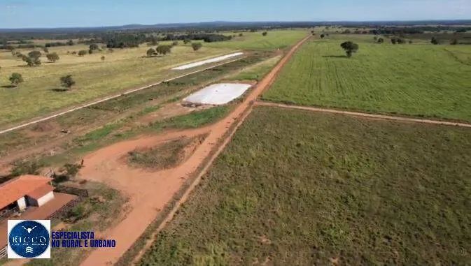 FAZENDA À VENDA EM ARAGUAÇU/TO  421 ALQUEIRES - Foto 4