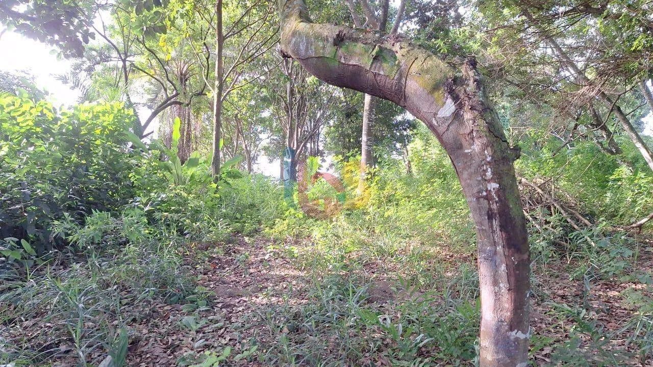 Vendo Terreno com Vista Mar em Arraial d'Ajuda - Foto 2
