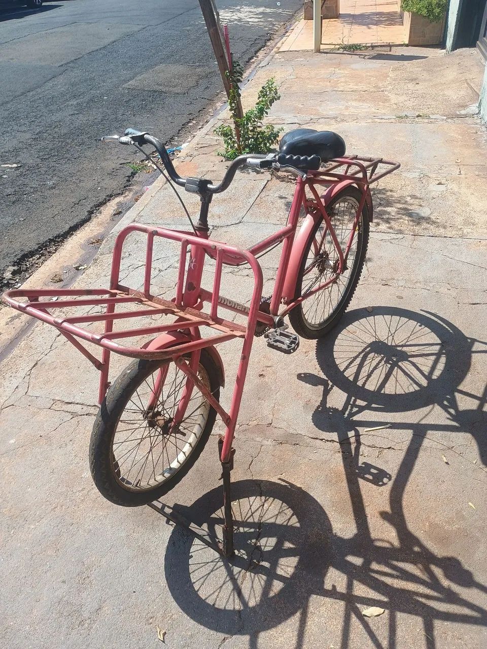 Bicicleta Cargueira 