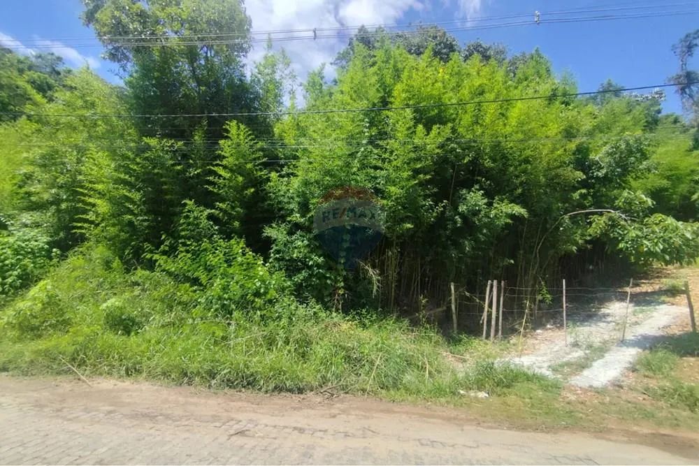 TERRENO A VENDA NA POSSE IMPERDIVEL!! - Foto 4