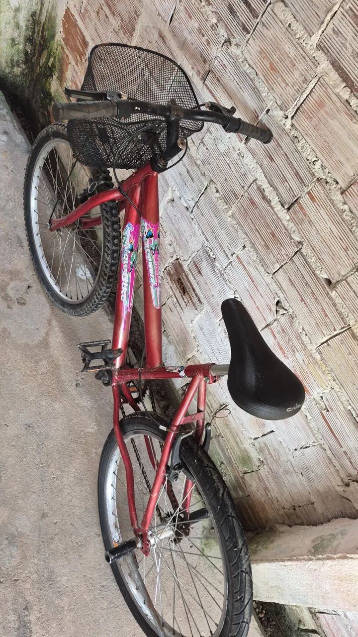 Bicicleta  - Foto 4