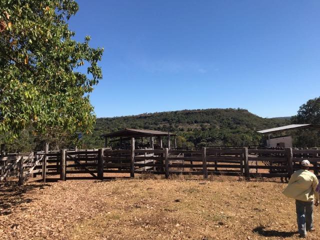 Fazenda Pecuária - 700 Ha - Chapada dos Guimarães - Foto 10