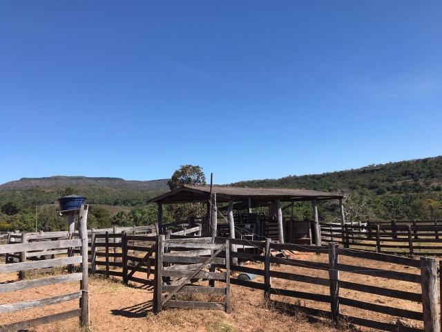 Fazenda Pecuária - 700 Ha - Chapada dos Guimarães - Foto 3