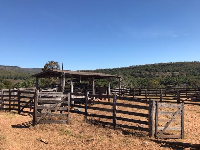 Fazenda Pecuária - 700 Ha - Chapada dos Guimarães - Foto 9