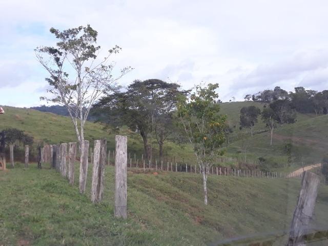 Fazenda em Camacã - Foto 12