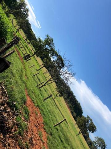 Fazenda em lugar paradisíaco, - Foto 7