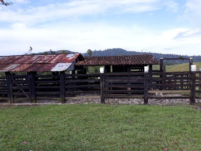 Fazenda em Camacã - Foto 2