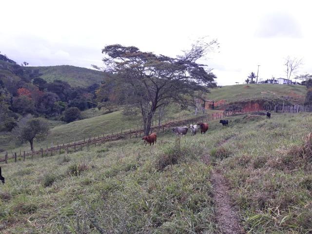 Fazenda em Camacã - Foto 9