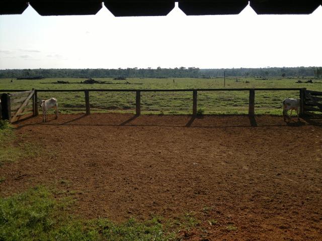 Fazenda para arrendamento de soja - Foto 3