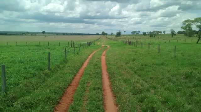 Fazenda. no Ms p Arrendamento de Lavouras 2650 há Show de Bola - Foto 13