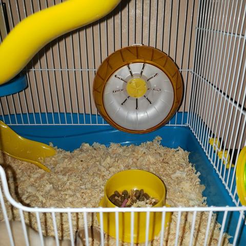 Rodinha para hamster 13 cm