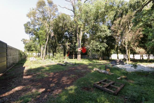 8287 | terreno à venda em industrial, guarapuava - Foto 3