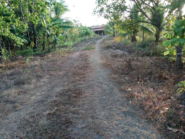 Sítio em Bacabeira