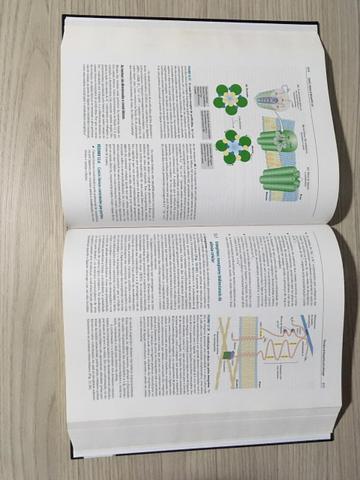 Livro - Princípios de Bioquímica de Lehninger - Foto 3