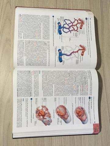 Livro - Princípios de Anatomia e Fisiologia - Foto 5