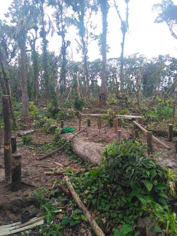 Terreno