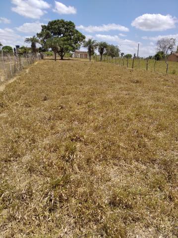 Terreno - Foto 2