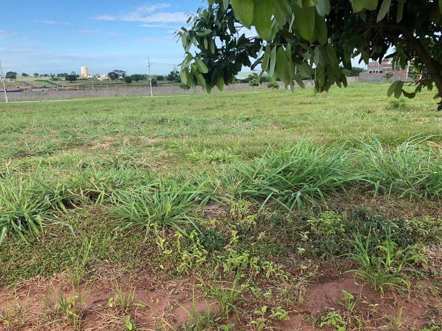 Terreno a Venda Condomínio Mirante do Rio Paraná - Foto 2