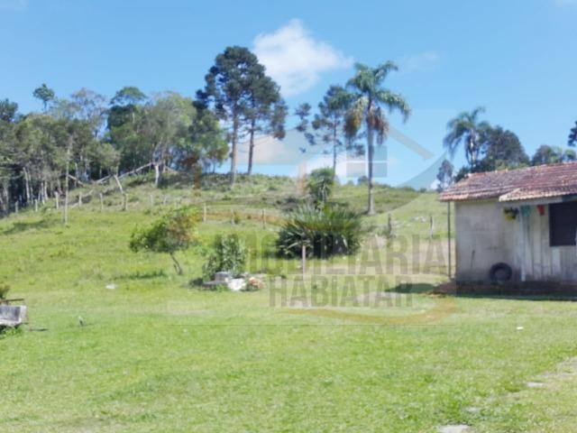 Fazenda no Taquari, Bocaiuva do Sul/PR - Foto 12