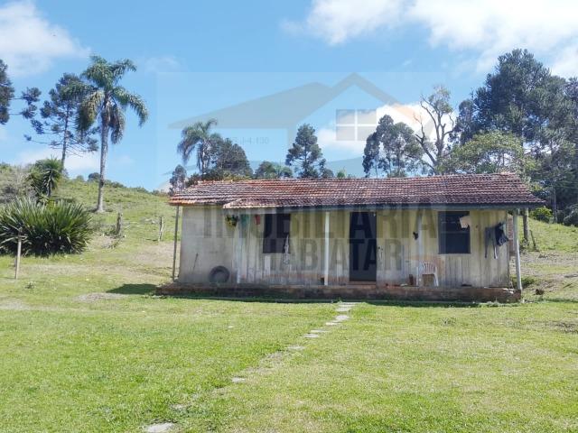 Fazenda no Taquari, Bocaiuva do Sul/PR - Foto 11