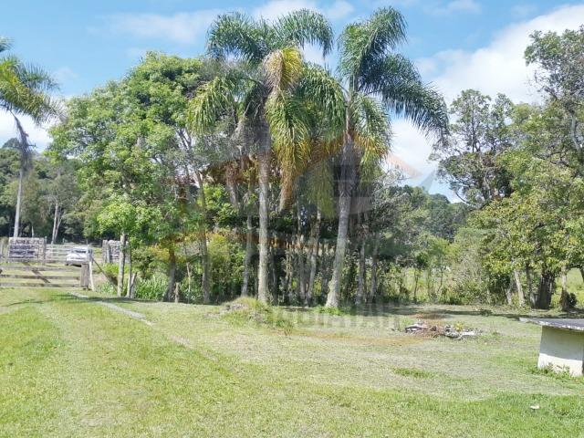 Fazenda no Taquari, Bocaiuva do Sul/PR - Foto 6