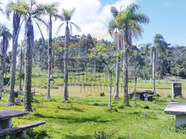 Fazenda no Taquari, Bocaiuva do Sul/PR