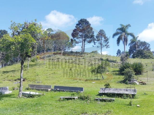 Fazenda no Taquari, Bocaiuva do Sul/PR - Foto 3